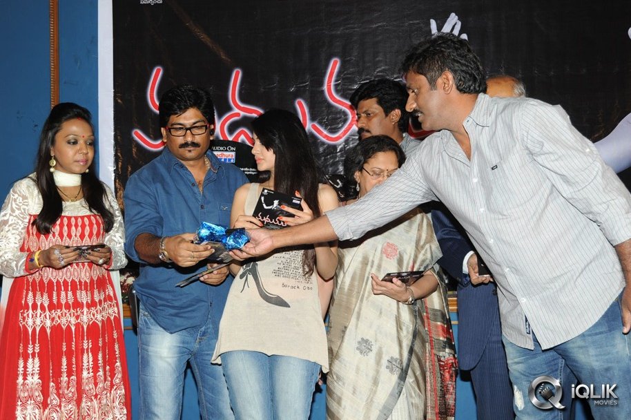 Madhumati-Movie-Audio-Launch